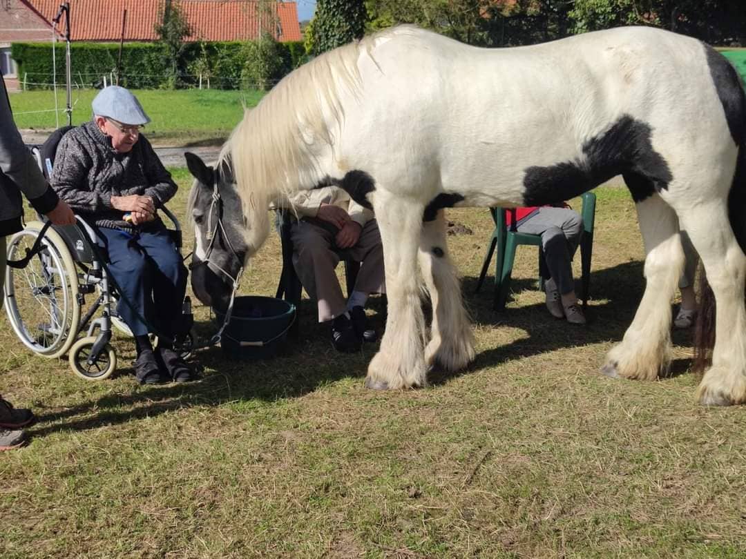 therapie-avec-le-cheval-poney-billy